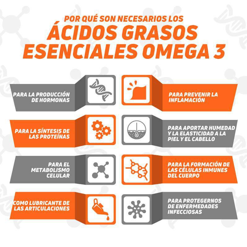 El momento ideal para consumir omega3 ¡Descúbrelo aquí! BioSalud