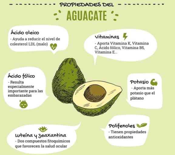 Los Beneficios Del Aguacate ¡omega 3 Para Tu Salud Biosalud