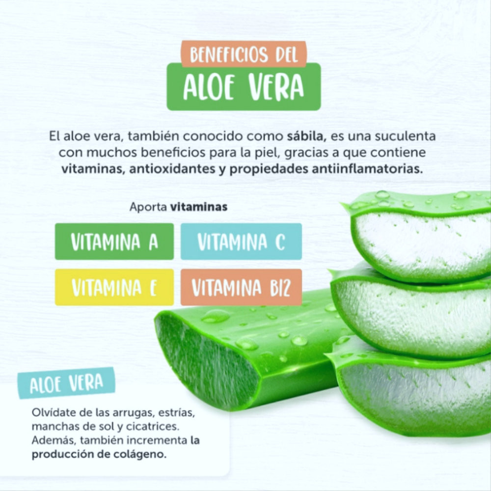 Los Increíbles Beneficios De Las Vitaminas Del Aloe Vera Biosalud 9775